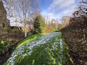 Photo 31- click for photo gallery